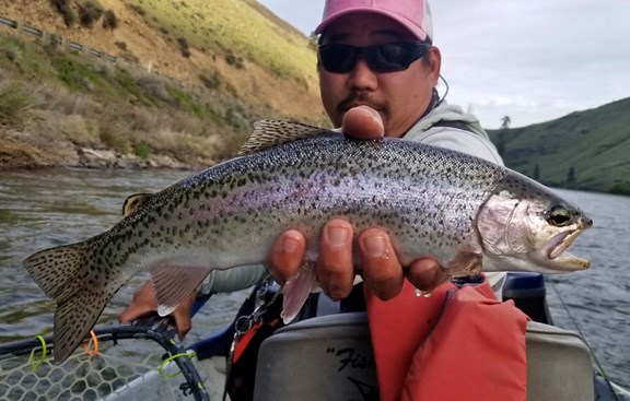 Great Trout Fishing