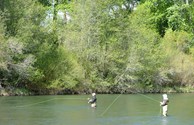 Fishing in the river