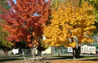 Fall Colors