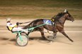 Hiawatha Horse Park & Entertainment Center Photo