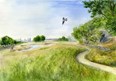 Brennan Memorial Nature Sanctuary Photo