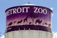 Detroit Zoo Photo