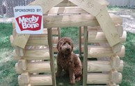 Barkley's in the dog house