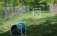 Kamp K-9 for your 4-legged friend.