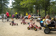 Bike Rentals
