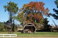 Camping Cabin