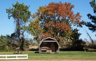 Camping Cabin
