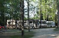 RV sites in the shade or open