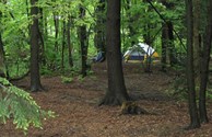 Tent sites in the woods