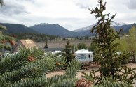 Can you smell the Pine?