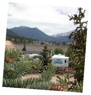 Can you smell the Pine?