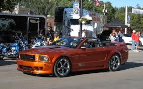 Thunder on the Mountain - Mustang Days