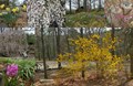 Spring at our KOA