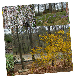 Spring at our KOA