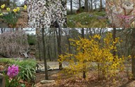 Spring at our KOA