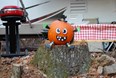 October 26 & 27 2012 Fall Fun at Fancy Gap Photo