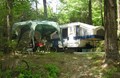 Shady, wooded sites