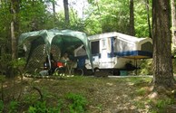 Shady, wooded sites