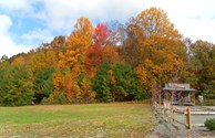 Autumn color changes