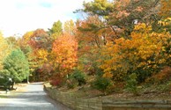Fall colors on the campground