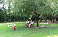 Our Doggie Playground