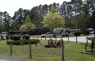Dogwoods Showing their Blooms