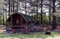 Quiet Kabin in the Pines