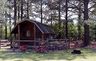 Quiet Kabin in the Pines
