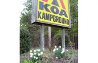 Spring has Sprung