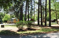 Quiet Kamping Village in the Pines