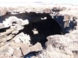 Rock Hounding and Fossil Searching Photo