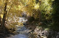 Scenic Chalk Creek