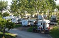 Enjoy Our Spacious Sites
