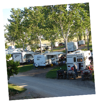 Enjoy Our Spacious Sites