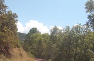 Riding The Trail