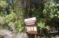 Paiute Trail Picnic Area