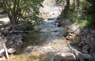 Chalk Creek