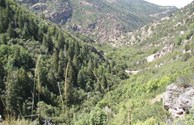 Paiute trail