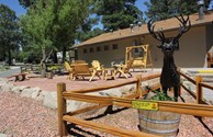 Group gathering firepit deck