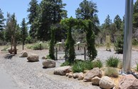 Beautiful sitting area on the Eco Park