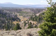 ATV Trails