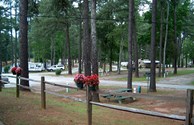 SECTION 1