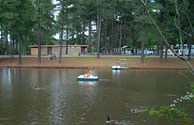 PEDAL BOATS