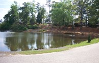 KABINS & FISHING LAKE