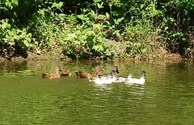 9 new arrivals @ Forsyth KOA