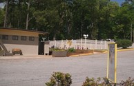 New Fence & Landscaping Around Pool Area