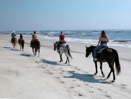 Horseback Riding on the Beach