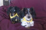 Shane and Lacie!