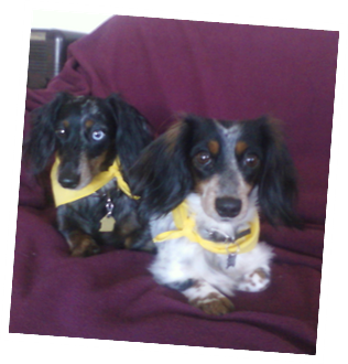 Shane and Lacie!