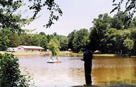 Take a paddleboat ride!